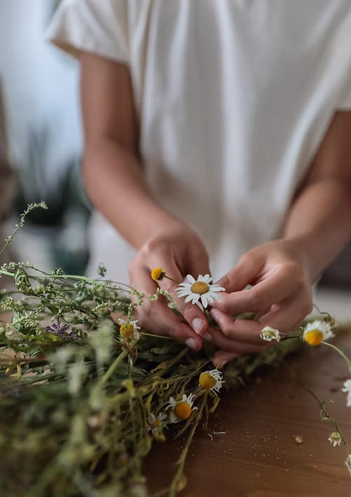 The flower shop